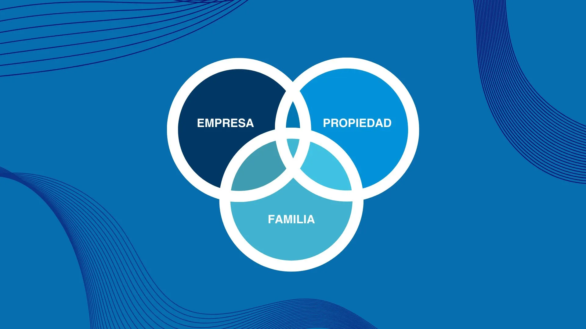 Los Tres Círculos de la Empresa Familiar. Roles en la empresa familiar.